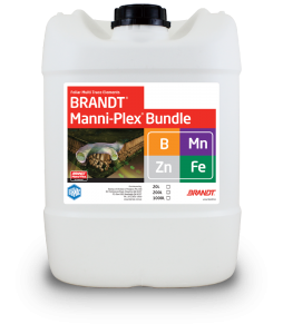 Brandt_Manni-Plex-Bundle