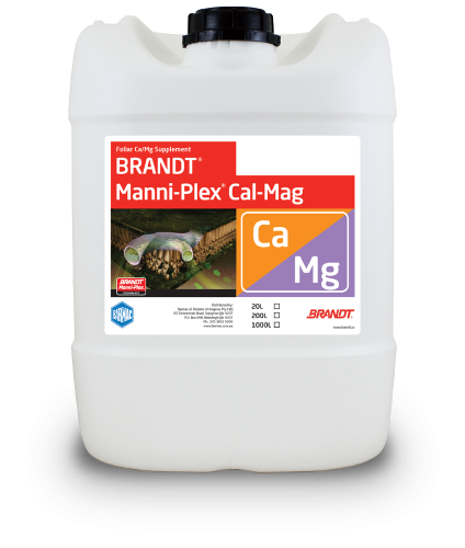 Brandt_Manni-Plex-Cal-Mag