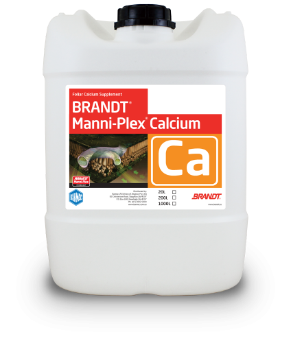 Brandt_Manni-Plex-Calcium
