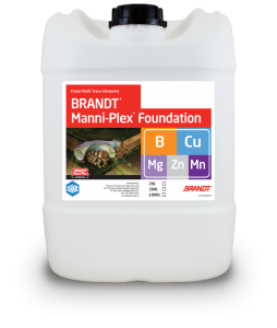 Brandt_Manni-Plex-Foundation