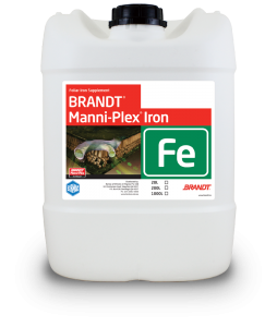 Brandt_Manni-Plex-Iron