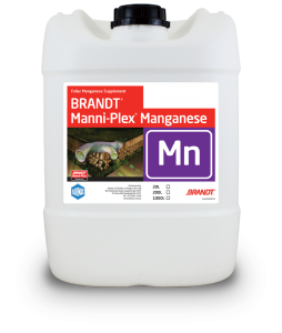 Brandt_Manni-Plex-Manganese