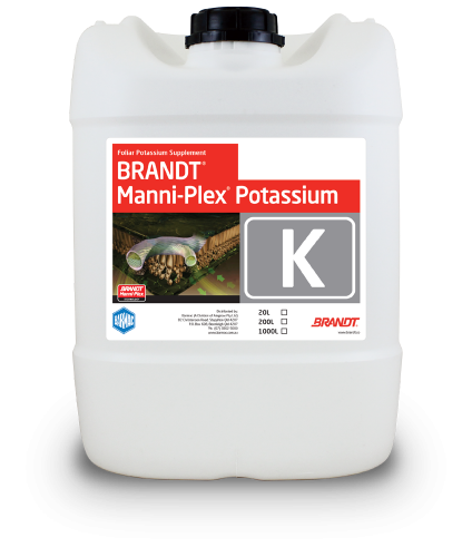 Brandt_Manni-Plex-Potassium