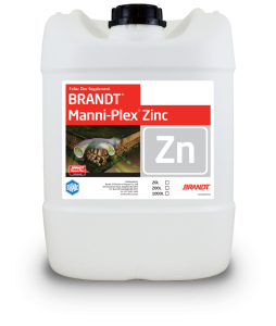Brandt_Manni-Plex-Zinc