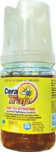 Cera Trap 600ml Jar II2