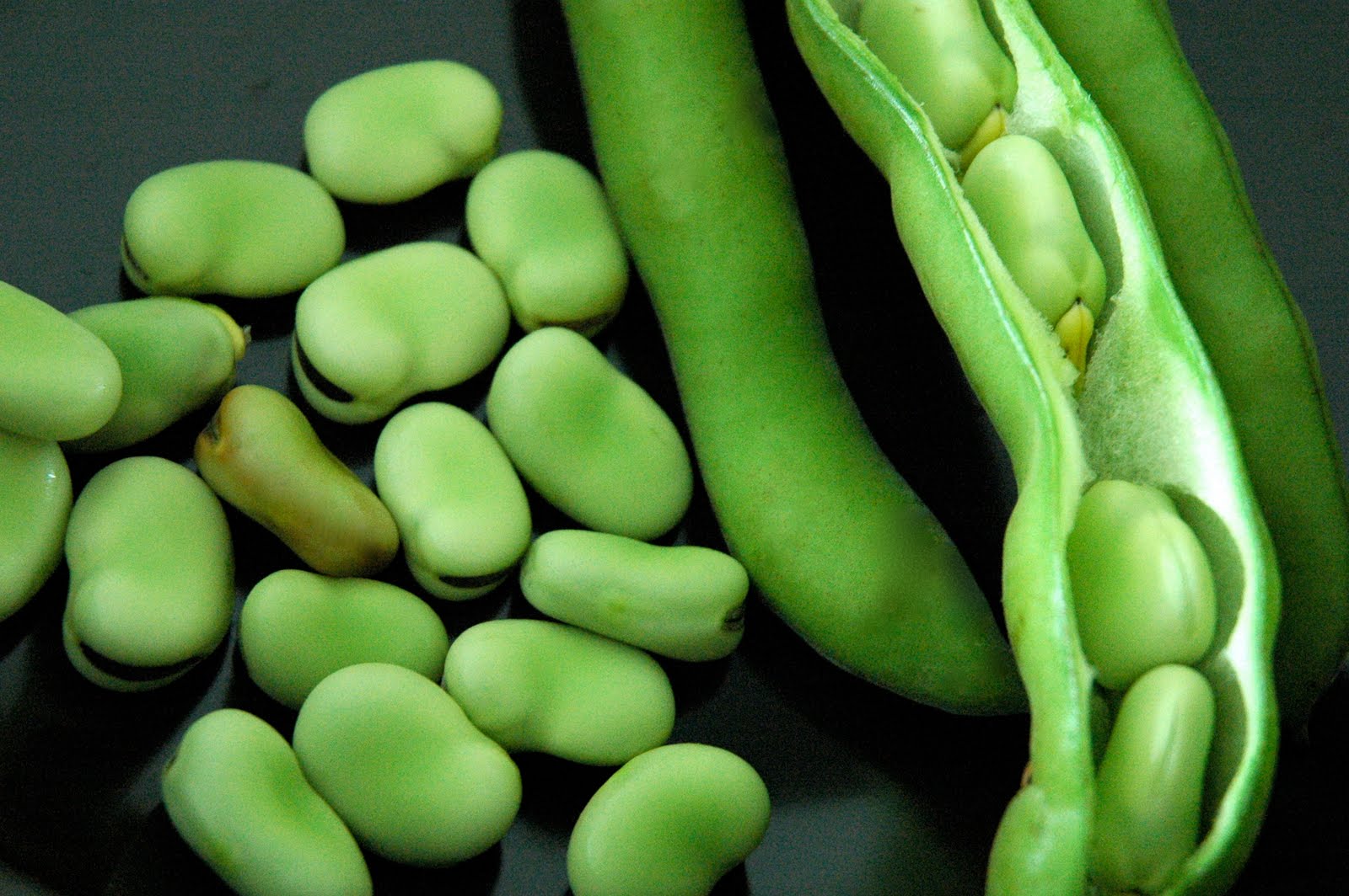 is fava beans good for diabetics