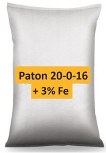 Paton 20 0 16 + 3 Fe
