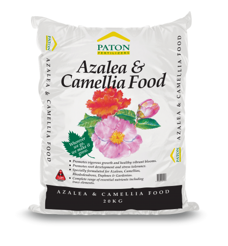 Patons_Azalea-Camellia-Food