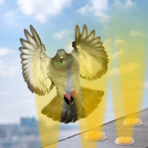 bird_free_optical_gel_how_it_works_multisensory